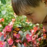 Boy with monarch butterfly
